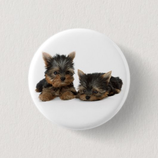 Cute Yorkshire Terrier puppies Ronde Button 3,2 Cm (Voorkant)