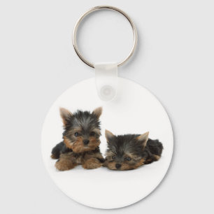 Cute Yorkshire Terrier puppies Sleutelhanger