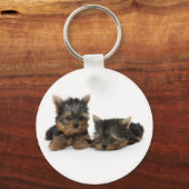 Cute Yorkshire Terrier puppies Sleutelhanger (Voorkant)