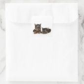 Cute Yorkshire Terrier puppies Vierkante Sticker (Tas)