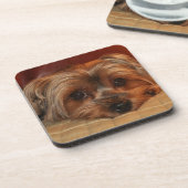 Cute Yorkshire Terrier Puppy Dog Bier Onderzetter (Linkerzijde)