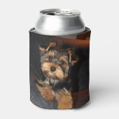 Cute Yorkshire Terrier Puppy Dog Blikjeskoeler (Blikje Voorkant)