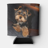 Cute Yorkshire Terrier Puppy Dog Blikjeskoeler (Voorkant)