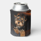 Cute Yorkshire Terrier Puppy Dog Blikjeskoeler (Blikje Achterkant)