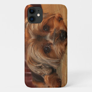 Cute Yorkshire Terrier Puppy Dog Case-Mate iPhone Case