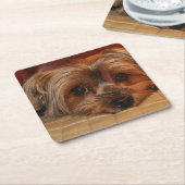 Cute Yorkshire Terrier Puppy Dog Kartonnen Onderzetters (Schuin)