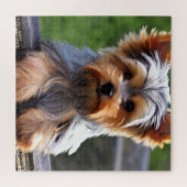 Cute Yorkshire Terrier Puppy Dog Legpuzzel (Horizontaal)