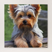 Cute Yorkshire Terrier Puppy Dog Legpuzzel (Verticaal)