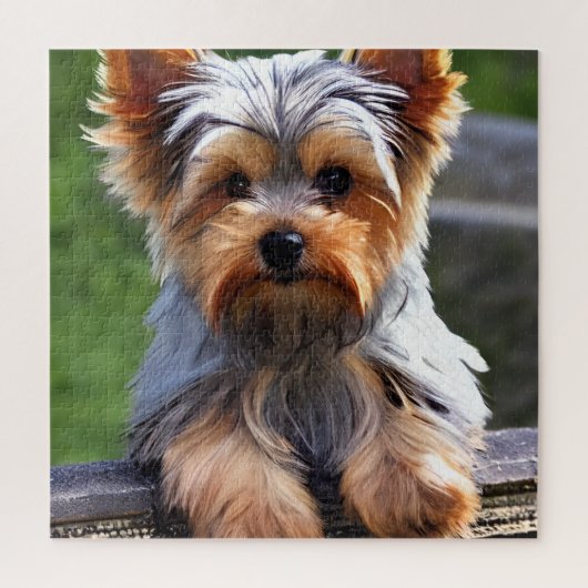 Cute Yorkshire Terrier Puppy Dog Legpuzzel (Verticaal)