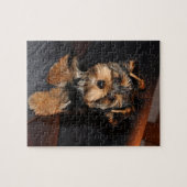 Cute Yorkshire Terrier Puppy Dog Legpuzzel (Horizontaal)