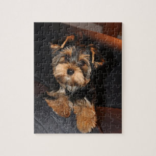 Cute Yorkshire Terrier Puppy Dog Legpuzzel