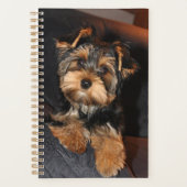 Cute Yorkshire Terrier Puppy Dog Planner (Voorkant)