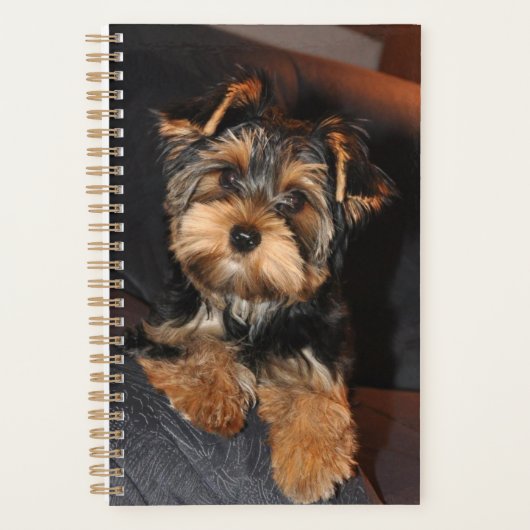 Cute Yorkshire Terrier Puppy Dog Planner (Voorkant)