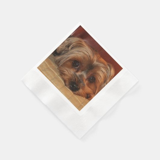 Cute Yorkshire Terrier Puppy Dog Servet (Hoek)