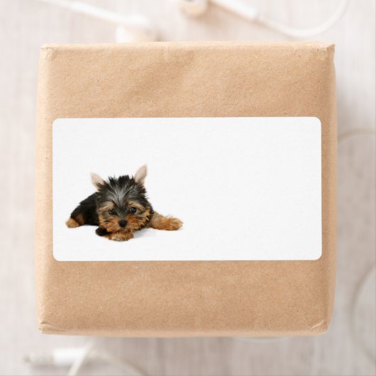 Cute Yorkshire Terrier Puppy Etiket (Insitu)