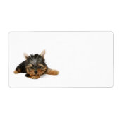 Cute Yorkshire Terrier Puppy Etiket (Voorkant)