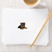 Cute Yorkshire Terrier Puppy Etiket (Insitu)