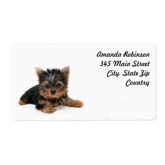 Cute Yorkshire Terrier Puppy Etiket (Voorkant)