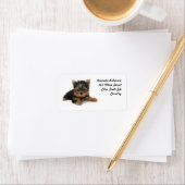 Cute Yorkshire Terrier Puppy Etiket (Insitu)