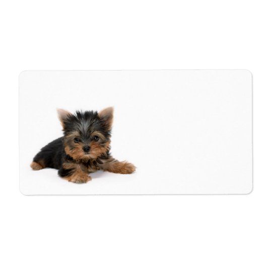Cute Yorkshire Terrier Puppy Etiket (Voorkant)