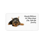 Cute Yorkshire Terrier Puppy Etiket (Voorkant)