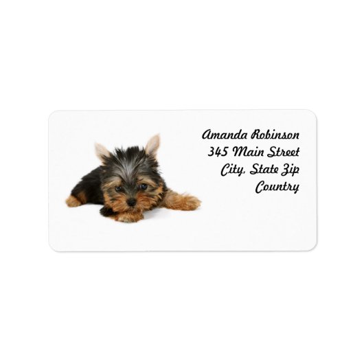 Cute Yorkshire Terrier Puppy Etiket (Voorkant)