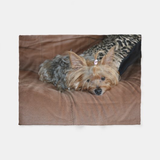 Cute Yorkshire Terrier Puppy Fleece Deken (Voorkant (Horizontaal))