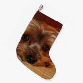 Cute Yorkshire Terrier Puppy Kleine Kerstsok (Voorkant (Hangend))