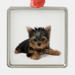 Cute Yorkshire Terrier Puppy Metalen Ornament