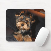 Cute Yorkshire Terrier Puppy Muismat (Met muis)