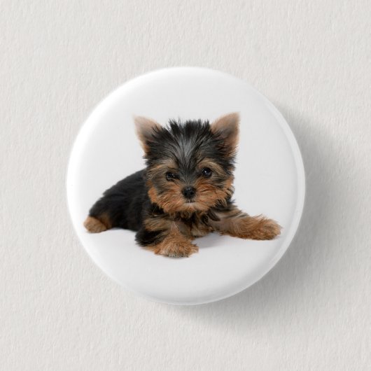Cute Yorkshire Terrier Puppy Ronde Button 3,2 Cm (Voorkant)