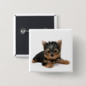 Cute Yorkshire Terrier Puppy Vierkante Button 5,1 Cm (Voorkant /achterkant)
