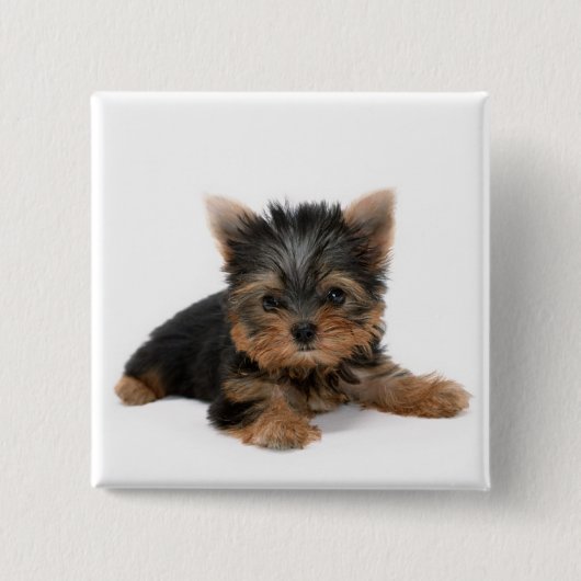 Cute Yorkshire Terrier Puppy Vierkante Button 5,1 Cm (Voorkant)