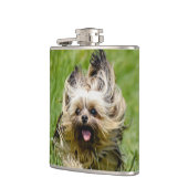 Cute Yorkshire Terrier Running Through Grass Heupfles (Links)