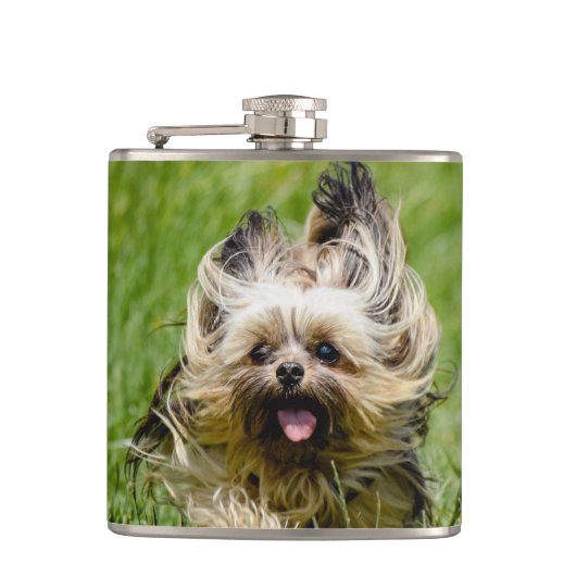 Cute Yorkshire Terrier Running Through Grass Heupfles (Voorkant)