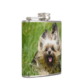 Cute Yorkshire Terrier Running Through Grass Heupfles (Rechts)