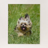 Cute Yorkshire Terrier Running Through Grass Legpuzzel (Verticaal)