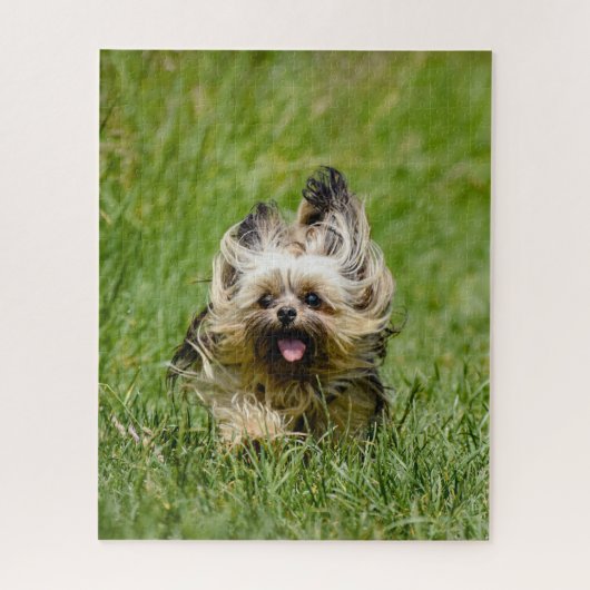 Cute Yorkshire Terrier Running Through Grass Legpuzzel (Verticaal)
