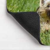 Cute Yorkshire Terrier Running Through Grass Muismat (Hoek)