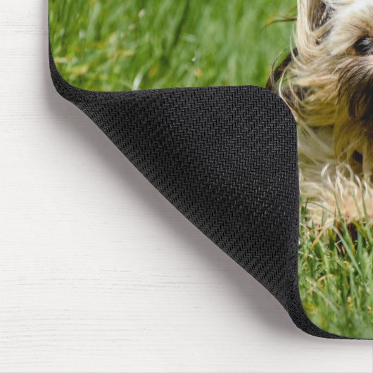 Cute Yorkshire Terrier Running Through Grass Muismat (Hoek)