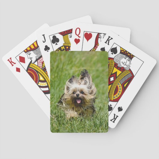 Cute Yorkshire Terrier Running Through Grass Pokerkaarten (Achterkant)