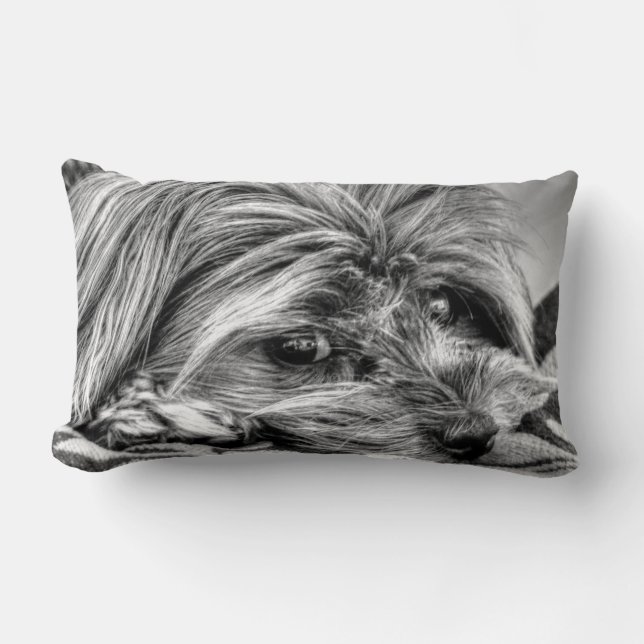 Cute Yorkshire Terrier Yorkie Black and White Art Kussen (Voorkant)
