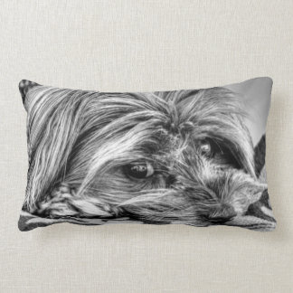 Cute Yorkshire Terrier Yorkie Black and White Art Kussen
