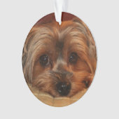 Cute Yorkshire Terrier Yorkie Dog Ornament (voorkant)
