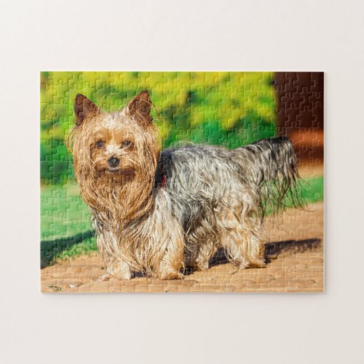 Cute Yorkshire Terrier Yorkie Dog Puppy Legpuzzel (Horizontaal)