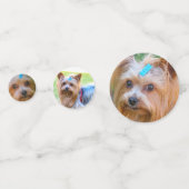 Cute Yorkshire Terrier Yorkie Favorite Breed Confetti (Achterkanten)
