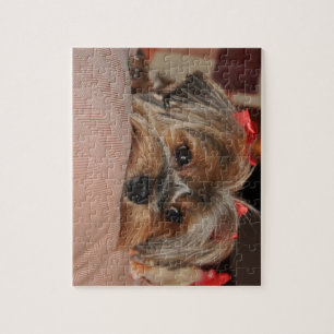 Cute Yorkshire Terrier Yorkie met Red Bows Legpuzzel