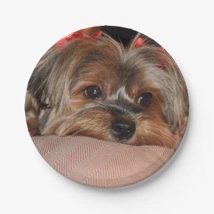 Cute Yorkshire Terrier Yorkie met Red Bows Papieren Bordje