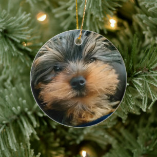 Cute Yorkshire Terrier Yorkie Puppy Dog Keramisch Ornament