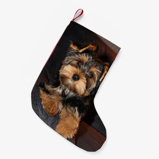 Cute Yorkshire Terrier Yorkie Puppy Dog Kleine Kerstsok (Voorkant (Hangend))